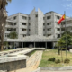 tplf 1 80x80